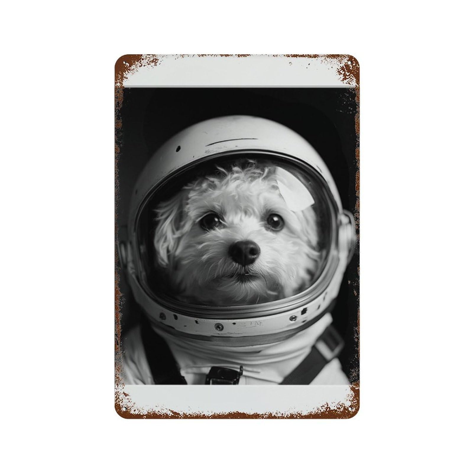 xiaoxiaoshen Astronaut Helmet, Photography S Wall Decor Art Metal Tin Poster Modern Home Decor Art Home Bar Shop Decorations Vintage Sign 30x20cm