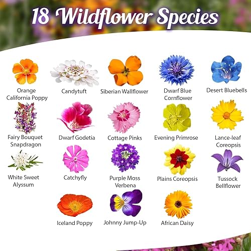 Miniatura 2 de Mezcla de semillas de flores silvestres de bajo crecimiento, flores cortas de 1 oz, 6 a 12 pulgadas, mezcla natural sin OMG de semillas de jardín