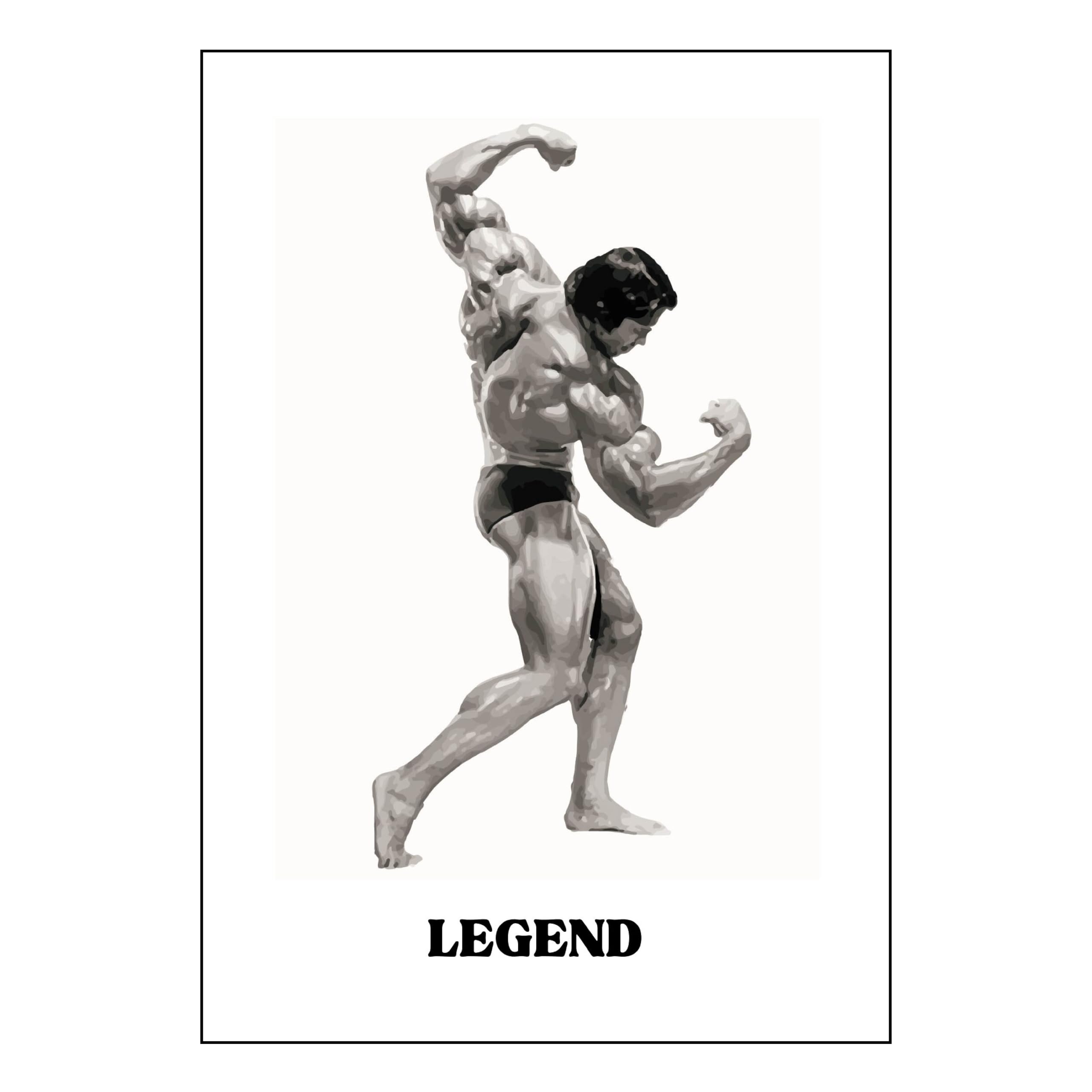 Gift Insanity White Arnold Schwarzenegger Legend Back Pose Poster A4 Size
