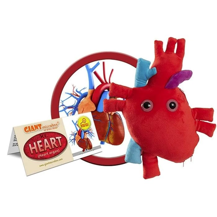 Buy GIANTmicrobes Deluxe Heart Organ with Plush Blood Cells Realistic