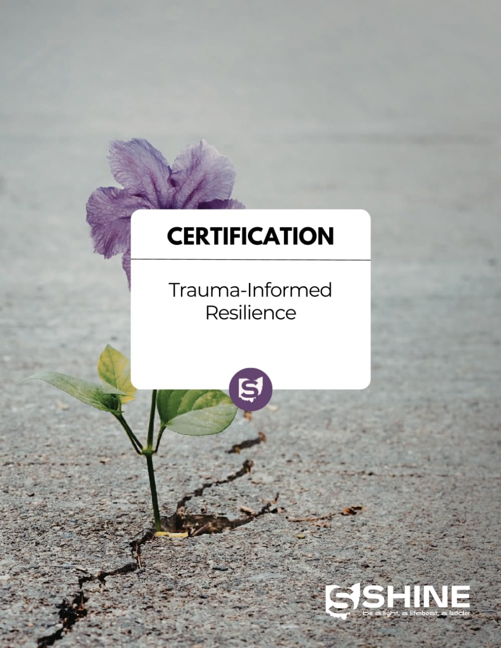 SHINE’s Trauma Informed Resilience Certification Workbook
