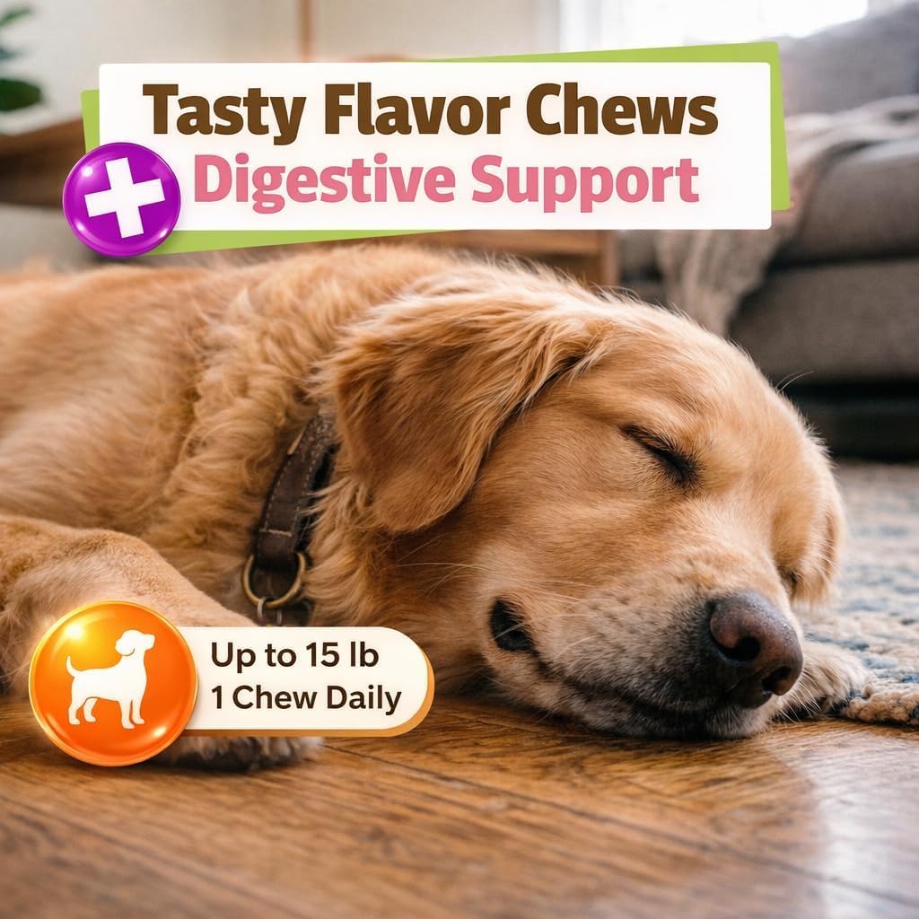 Pet Naturals Calming Chews for Dogs and Cats, Anxiety Relief with Gentle Ingredients for Thunder, Fireworks, Travel, Grooming, Value Size Calming Pet Treats, Chicken Flavor, 160 Count