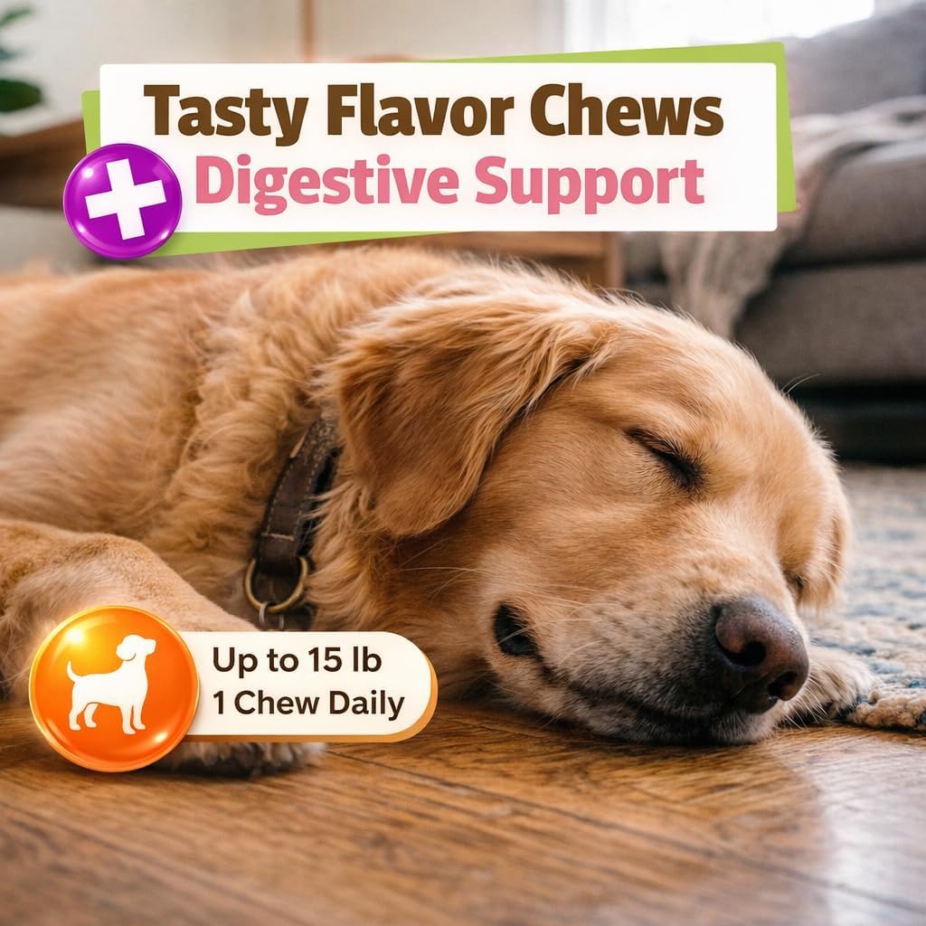 Pet Naturals of Vermont - Suplemento de Apoyo para Perros y Gatos, 160 masticables de tamaño mordedura