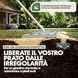 GARLINGO B0CZ5BMJSS lato 4