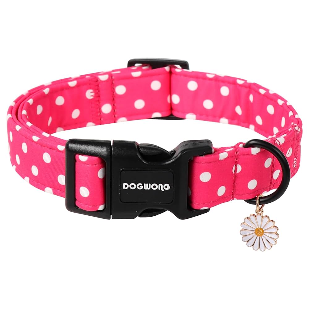 Yalangoch ayol dostining ogziga katta narsalarni uradi.