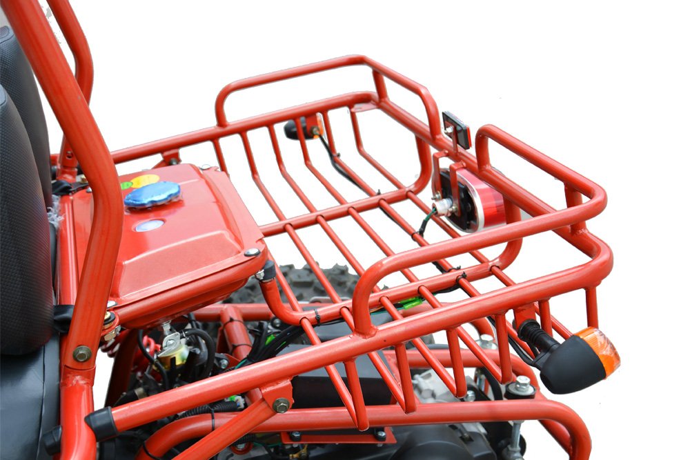 Maxi Buggy 200CC ölgekühlt E-Start Automatico CVT con inverso Fuoristrada Quad ATV Bici Midi - Blu