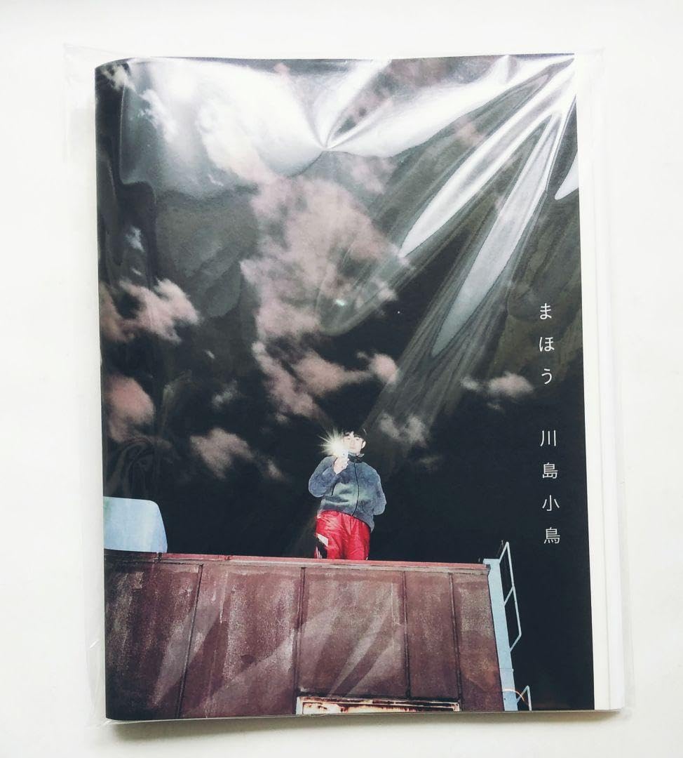 Amazon.co.jp: 川島小鳥 300部 写真集 cozfish ZINE『まほう』 : おもちゃ