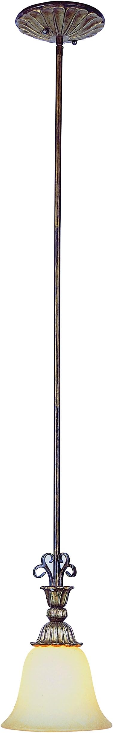 Trans Globe Lighting 2570 EBG 1-Light Drop Pendant, Ebony Gold