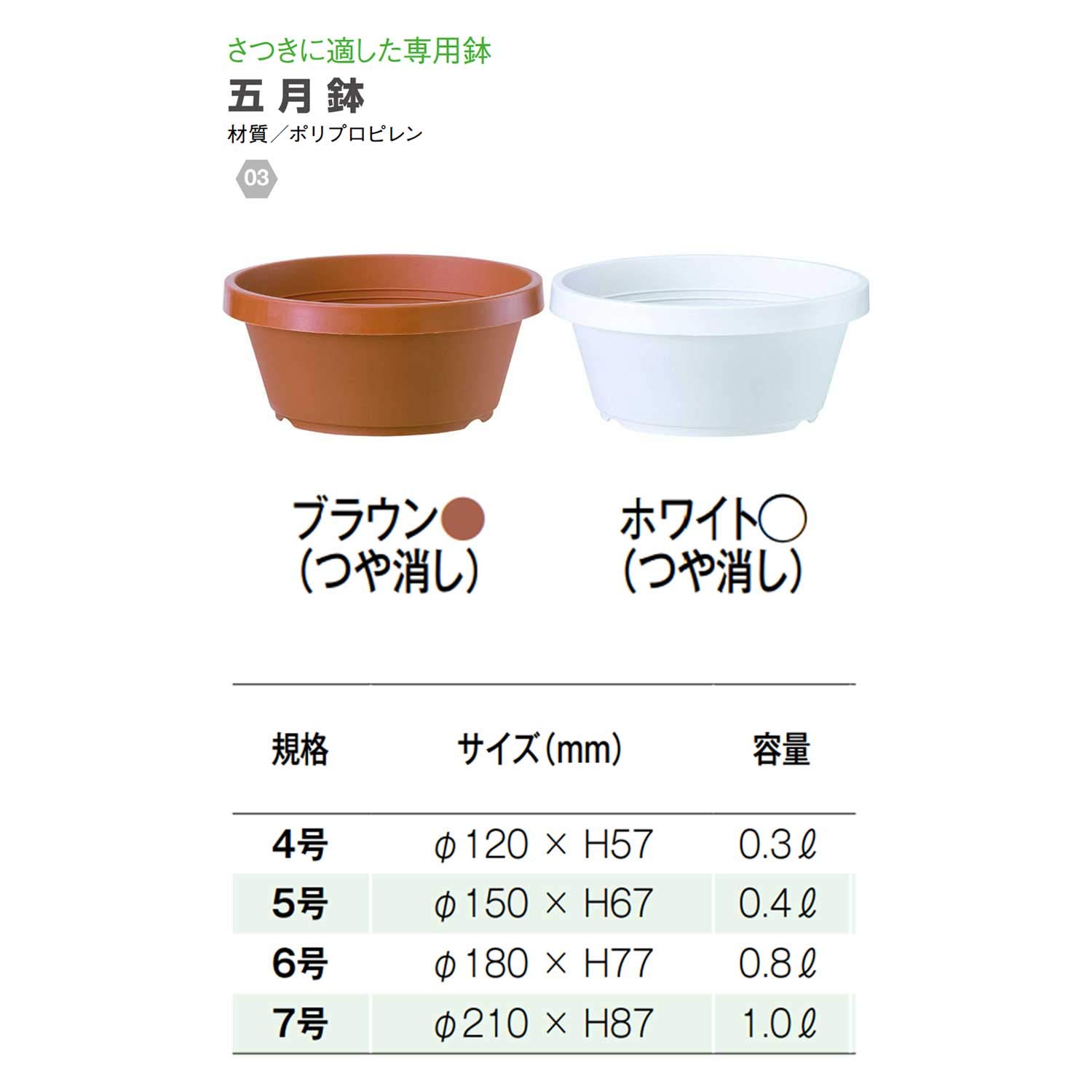 Amazon | 大和プラスチック 五月鉢 6号 φ180×H77 ホワイト(つや消し) | 鉢