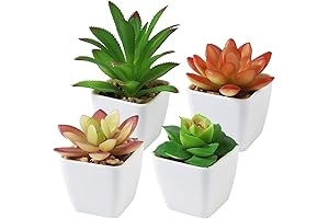 CQURE Set of 4 Succulents Plants Artificial, Mini Artificial Succulents Desk Plant...