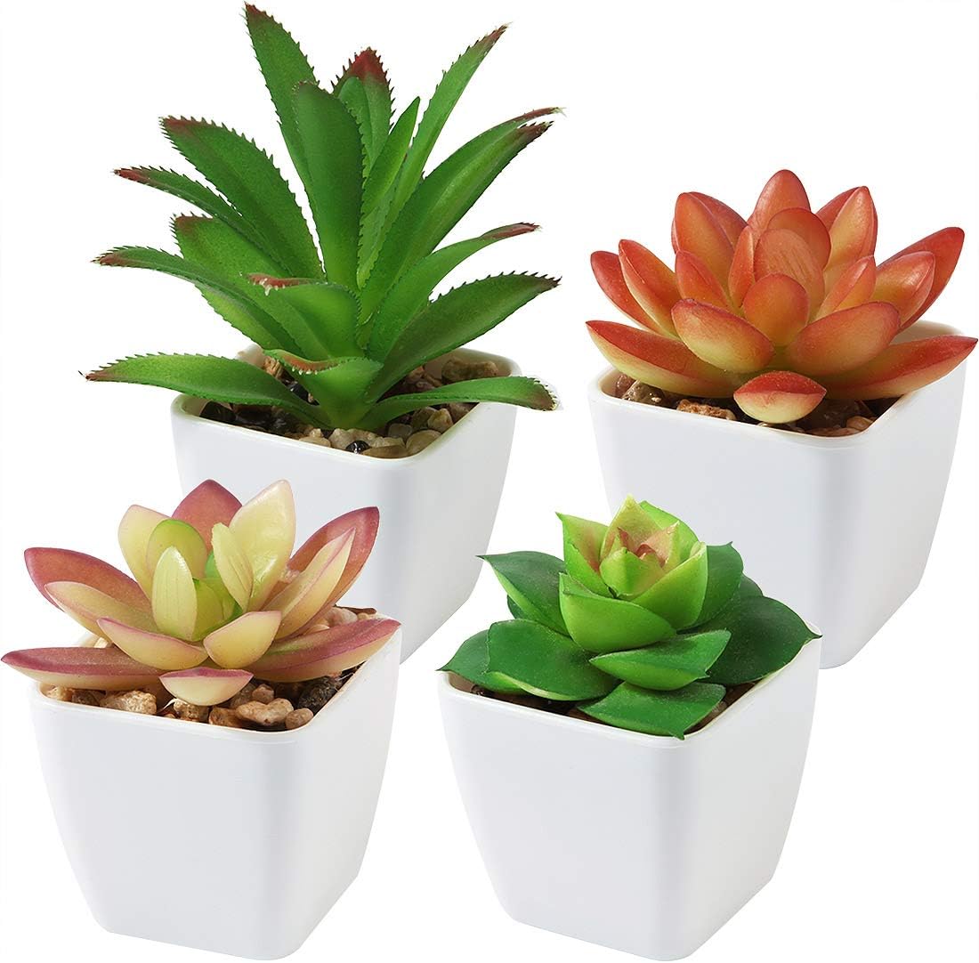 CQURE Set of 4 Succulents Plants Artificial, Mini