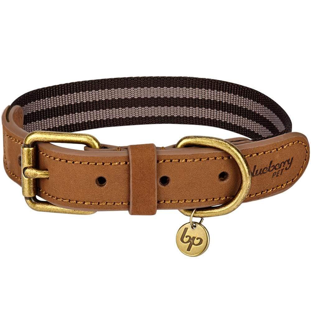 Blueberry Pet Leather Dog Collar