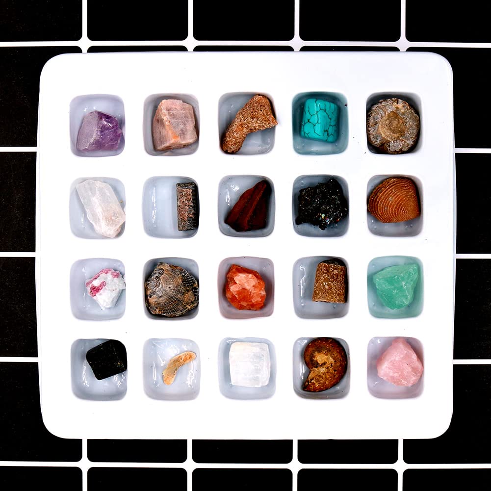 CRISTAL NATUREL QUARTZ Minéral Pierre Amazonienne Sculptée à La Main Collection éléphant Reik