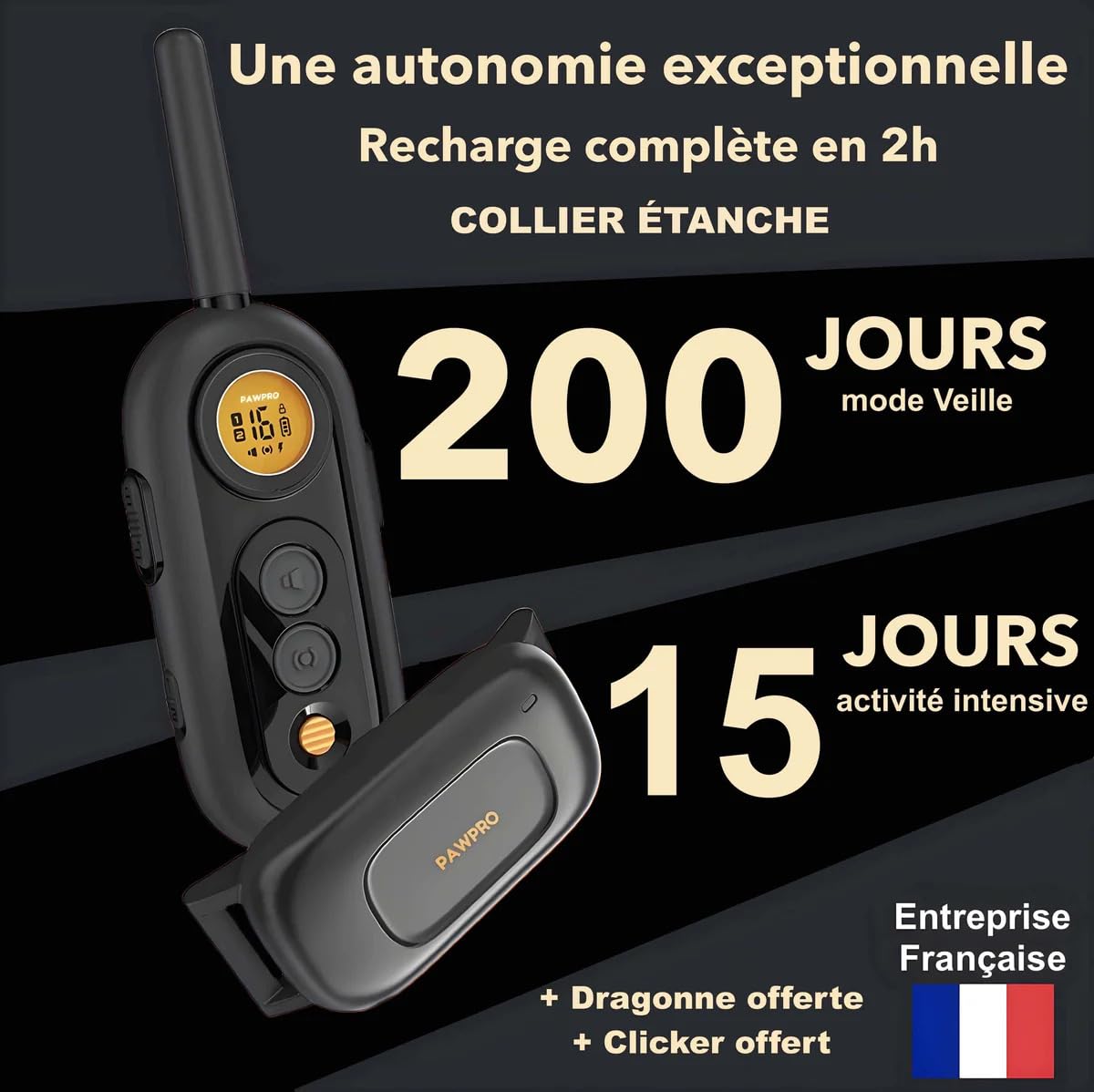 PAWPRO Collier de Dressage Chien 1000m Étanche Rechargeable 3 Modes BIP Vibration Choc