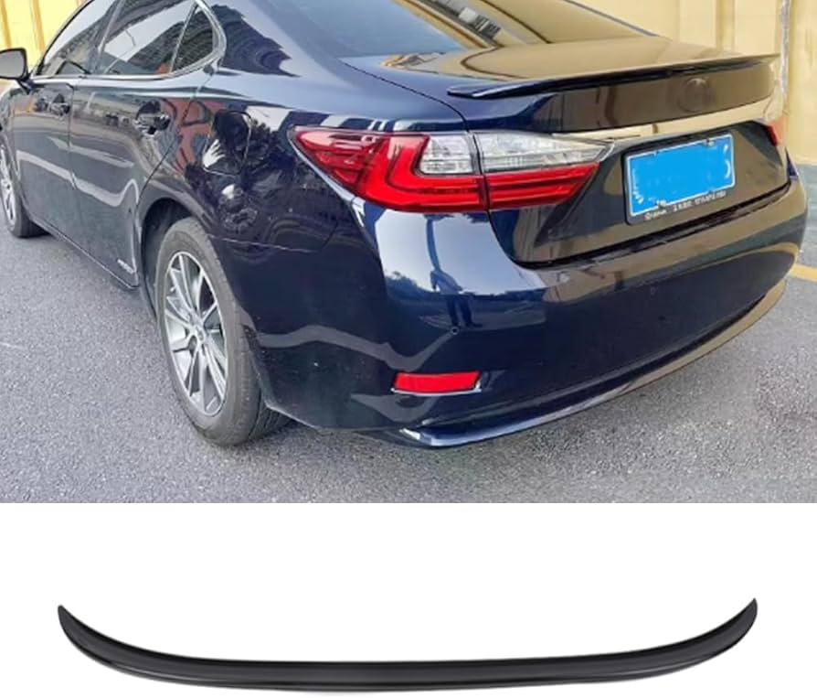 Amazon.com: Eridanus Auto Accessories Fit for Lexus ES 200/250/300