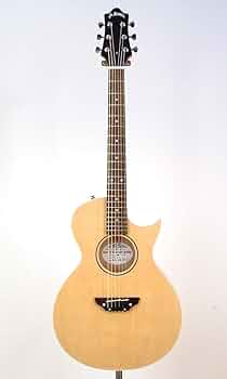 61y6RIORL6L._AC_UF350,