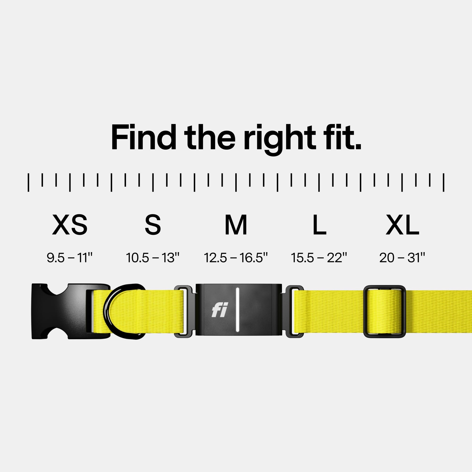 Fi Series 3+ GPS Hundehalsband & Tracker, Mitgliedschaft erforderlich, Blau