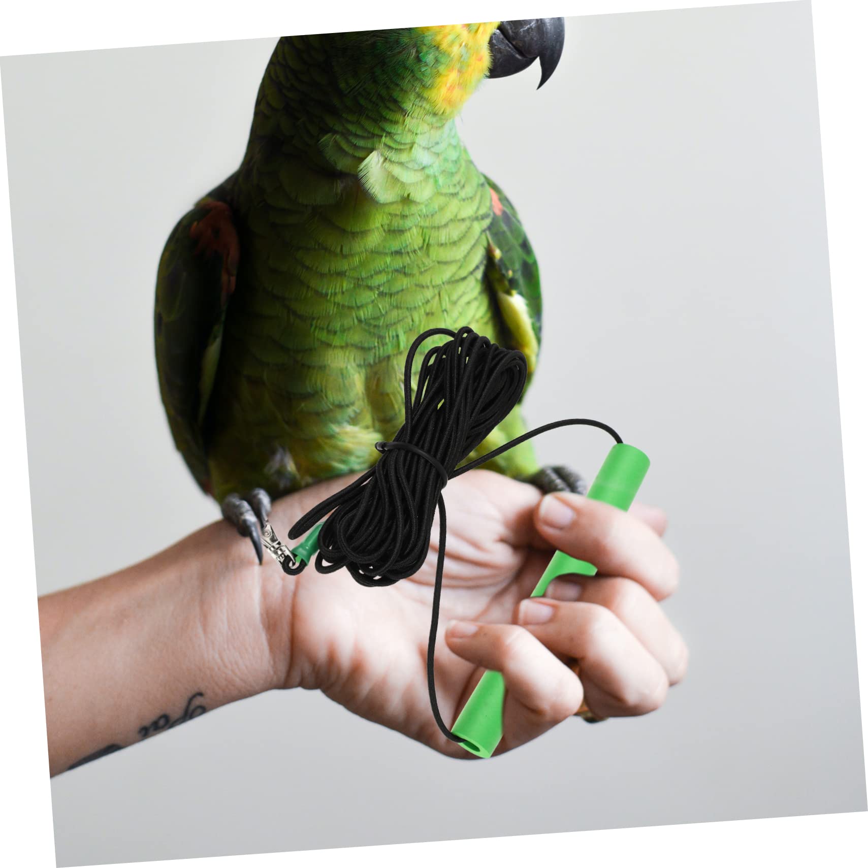 Kisangel 2 Piezas Cuerda De Pájaro Arnés De Pájaro Mascota Arnés y Correa para Cacatúa Cuerda De Entrenamiento De Loros Suministros De Correa De Loro De Acero Inoxidable Green