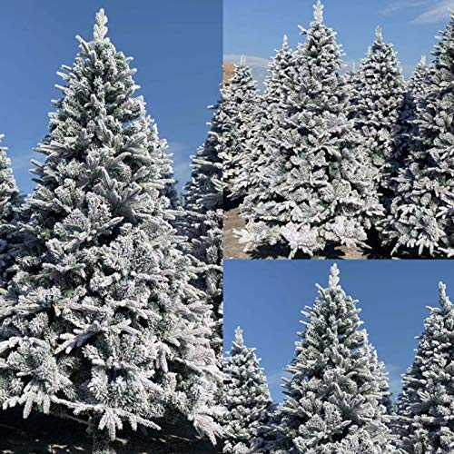 Yumuo Snow Flocked Christmas Tree,Premium Artificial Xmas Pine Tree With Metal Stand,For Christmas Home Wedding Party Deco-White 400Cm(13Ft) #TOP6
