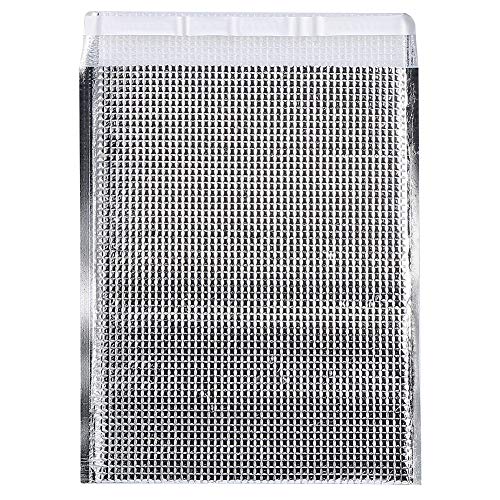 Gigicial Paquete de 10 bolsas de envío aisladas con papel de aluminio, bolsa aislante, forros térmicos para alimentos congelados y calientes para lonchera, camping, picnic (25 * 30cm)