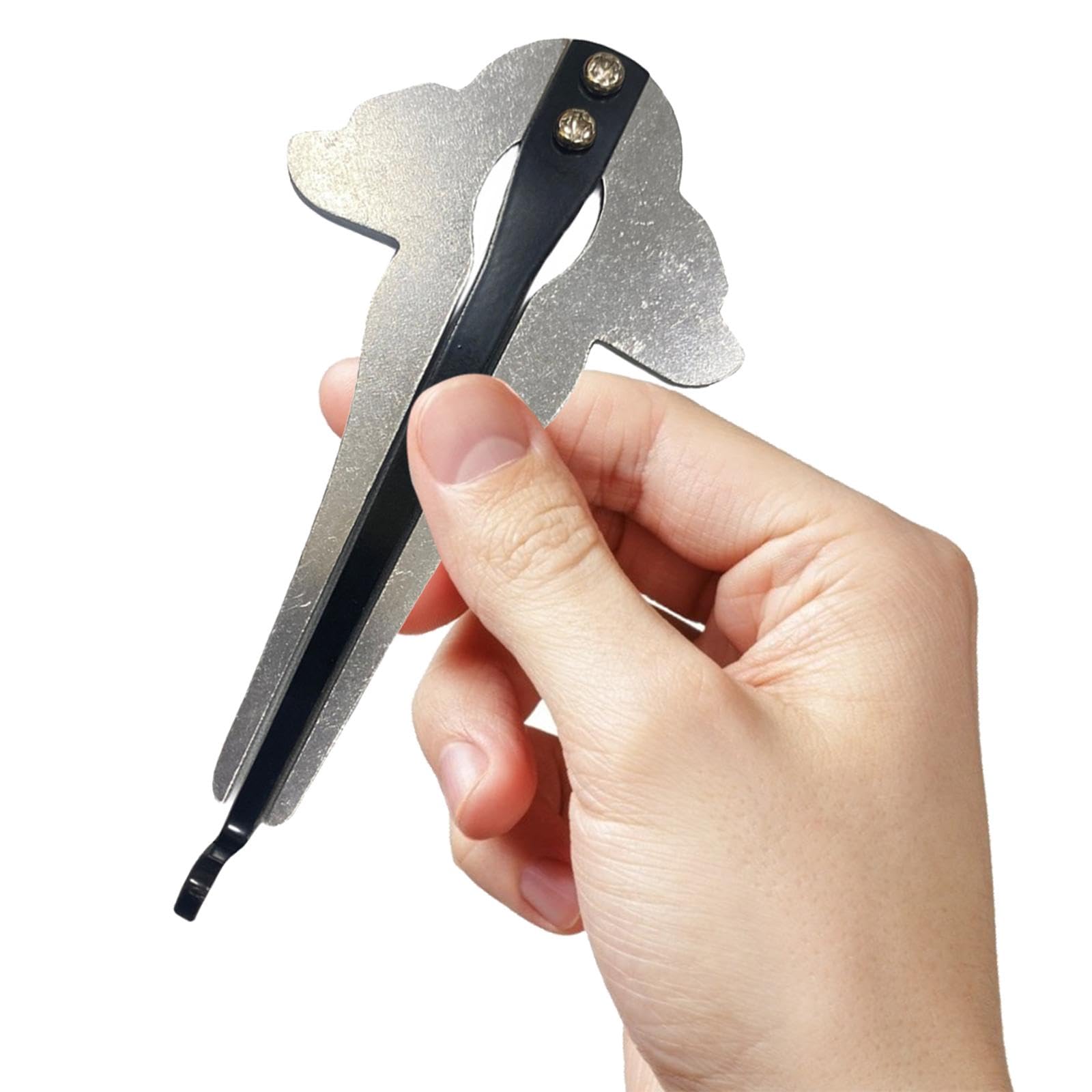 Seydel Sailor Steel tremolo harmonica - D