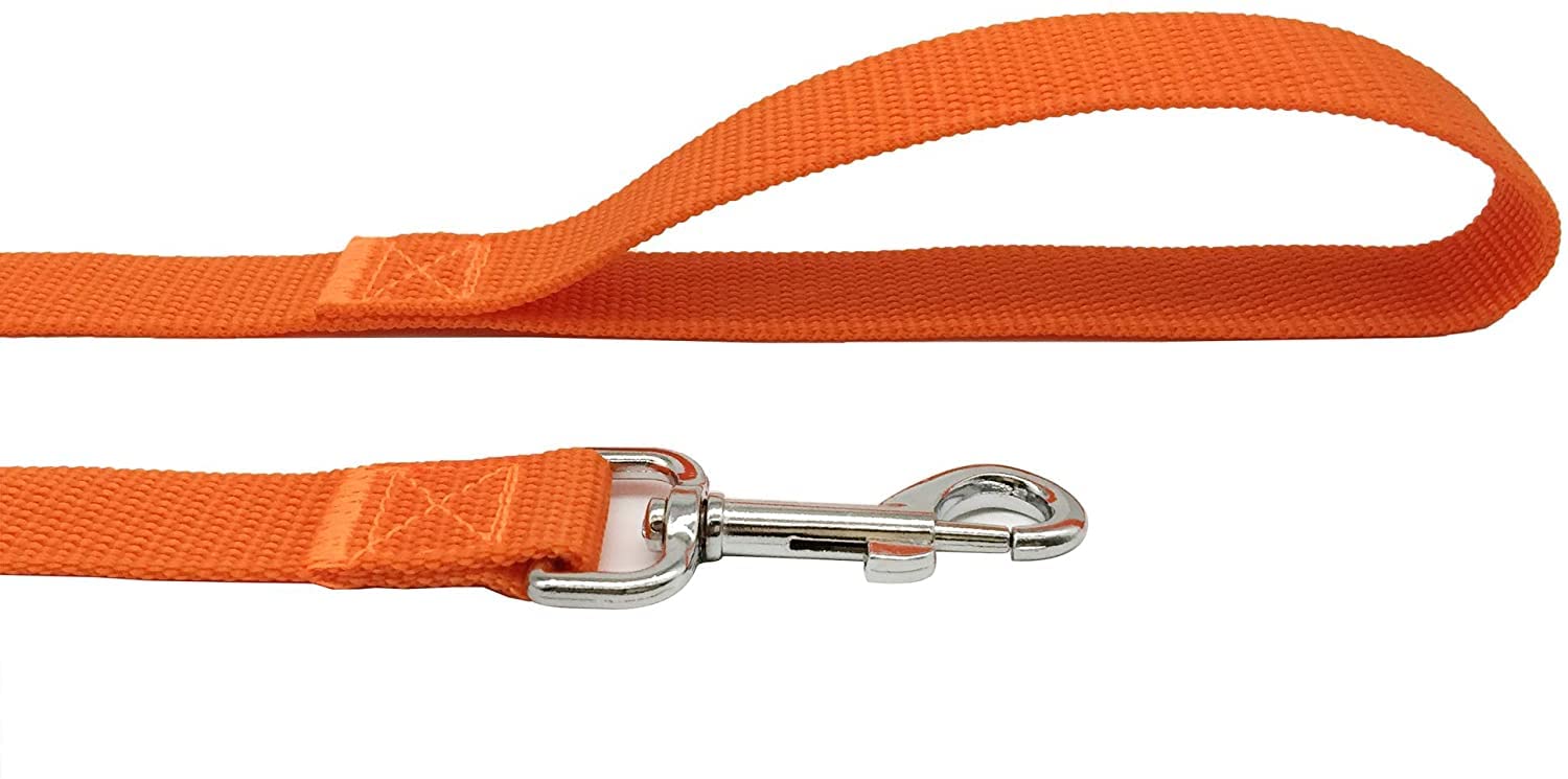 TAIAN Correa para Perros de Nailon Resistente de 1,2 m, para Perros pequeños, medianos y Grandes (1,9 cm x 1,5 m, Naranja)