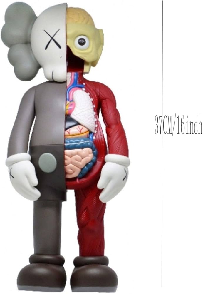 Kaws Toy Anatomy Companion Kaws Figure Art Model Toys Gray