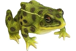 Sunthus Toad Garden Statues