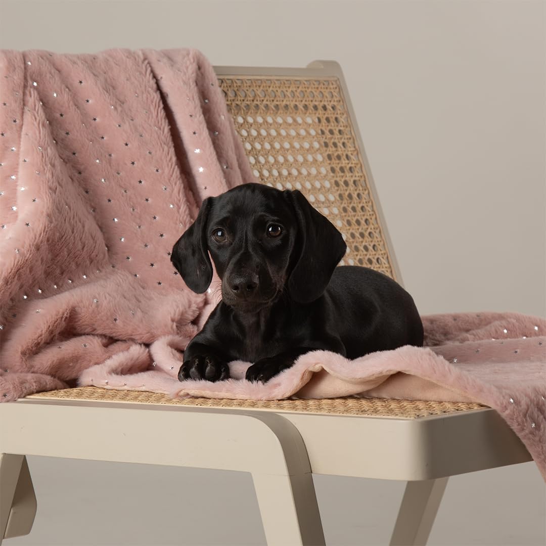 Scruffs Starlight "My First" Puppy or Kitten Blanket