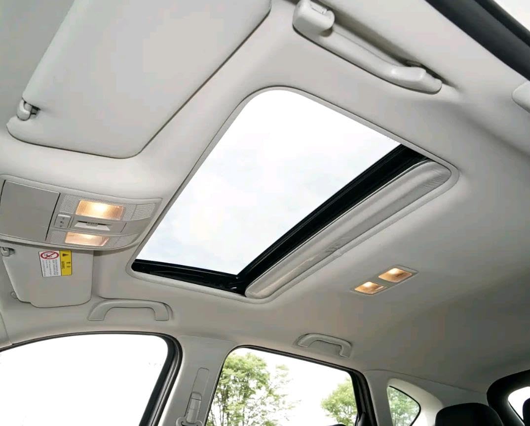 Maniglia per Tetto dell'auto per Outback BR BS 2009-2020