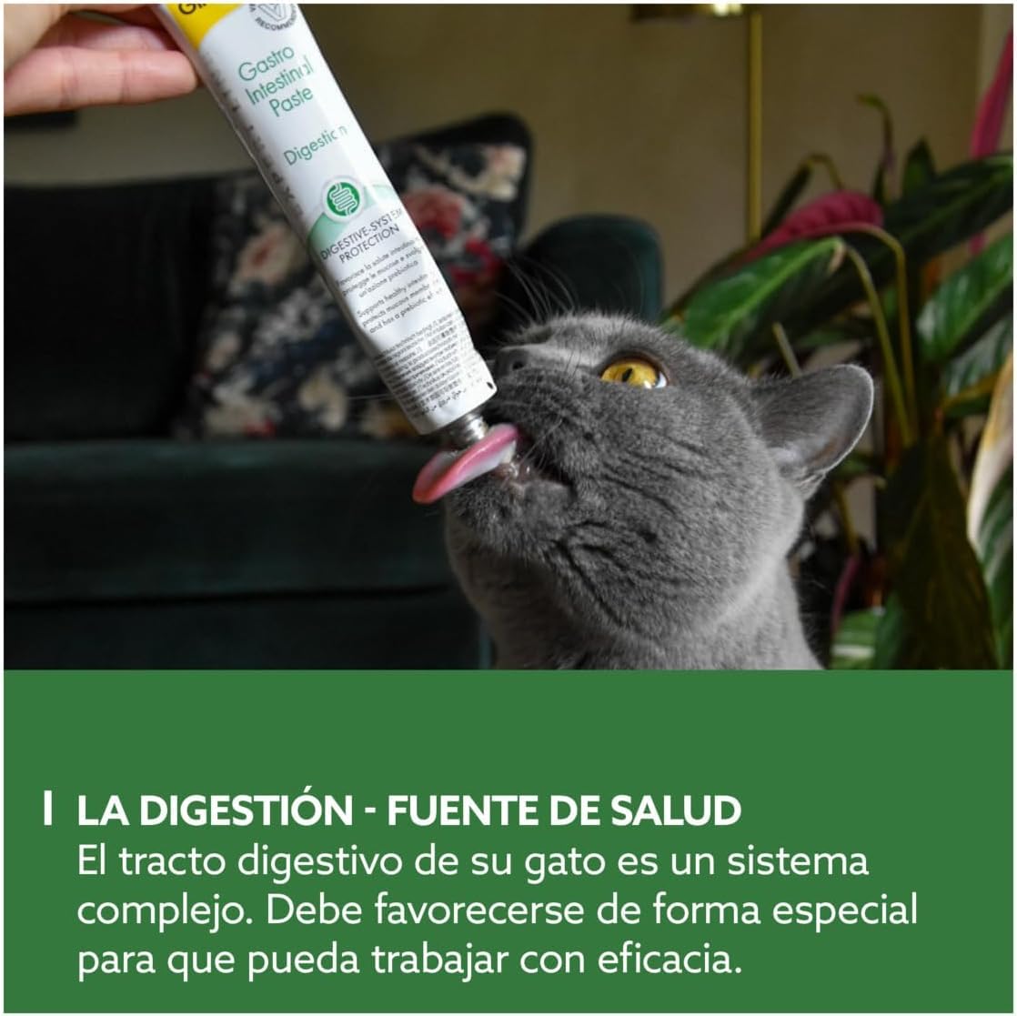 GimCat EXPERT LINE Gastro Intestinal, Pasta funcional para gatos - Protección del sistema digestivo, favorece la salud intestinal, tiene un efecto prebiótico - 1 tubo (1 x 50 g)
