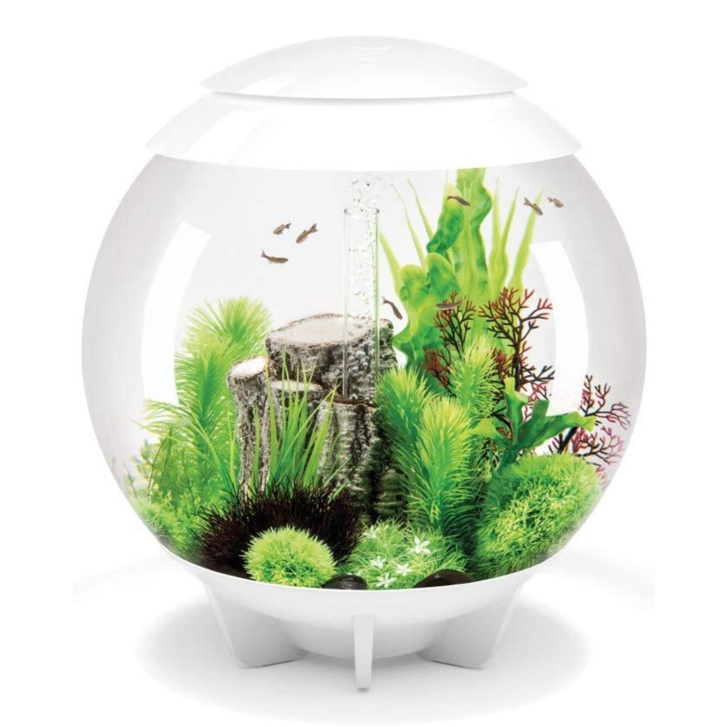 Oase Biorb Halo 60L Aquarium Fish Tank In White With Mcr Led Lighting from B&Q