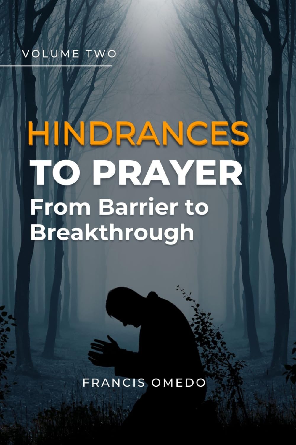 Hindrances to Prayer Volume 2: From Barrier to Breakthrough