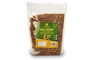DIIG Non-GMO Dried Mealworms - Nature's Treat for Your Hamster