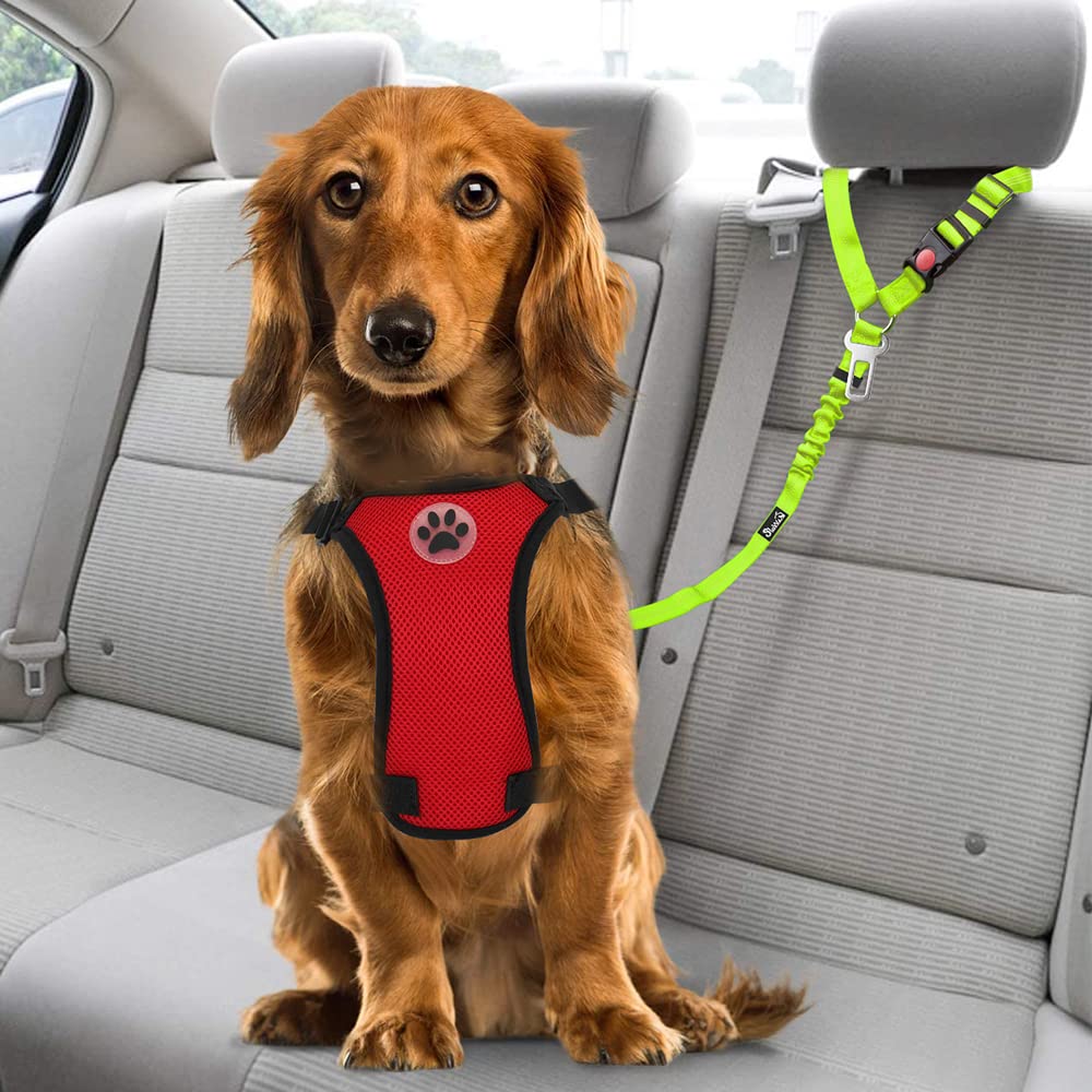 SlowTon Cinturón de seguridad para perros – Cinturón de seguridad 2 en 1 para mascotas, cinturón de seguridad reflectante ajustable para cachorros, arnés elástico para perros en el vehículo (lima,
