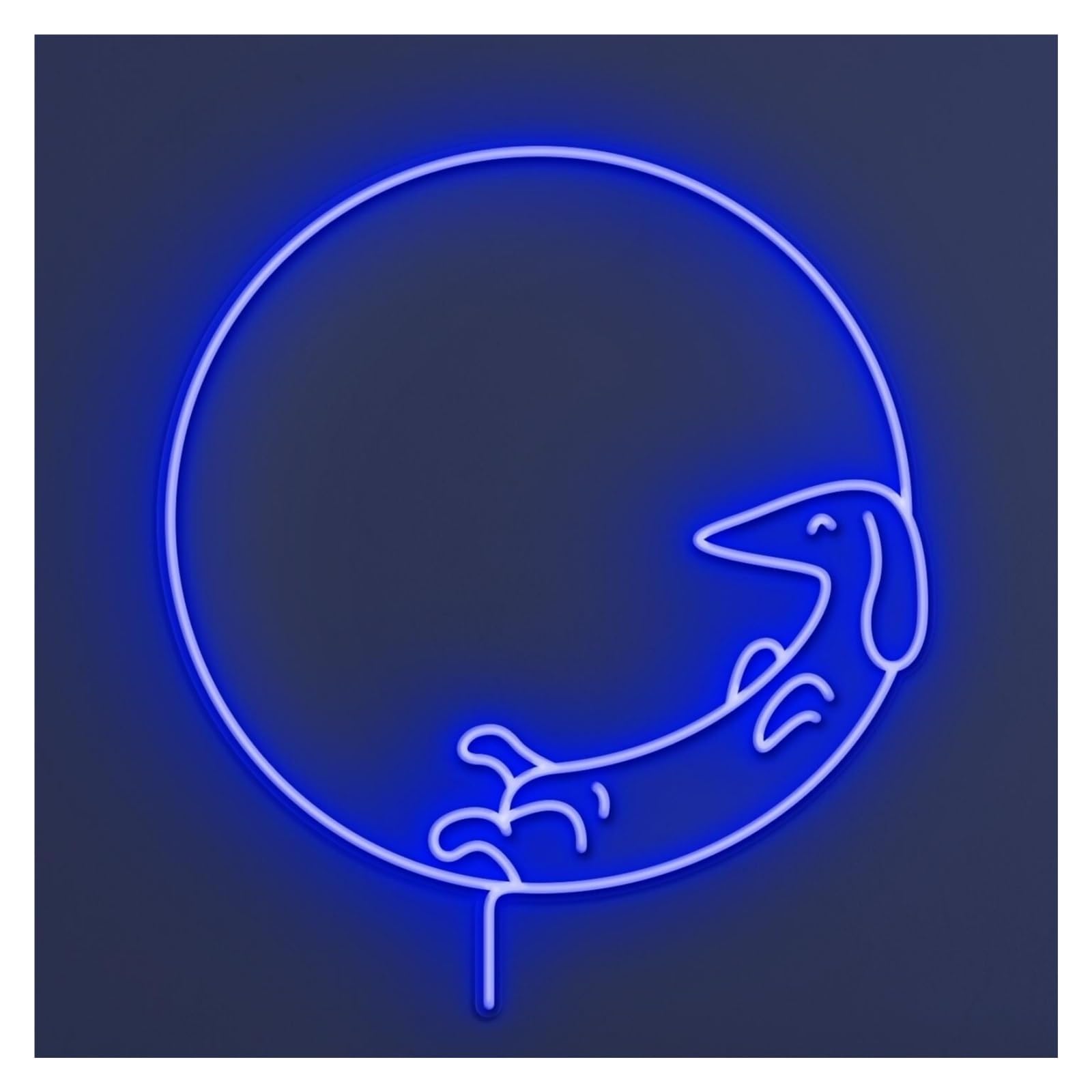 RONGCH Hanging Art Signs Dachshund Dog Neon Sign, Suitable for Home Wall Decor with Brightness Adjustable 50cm