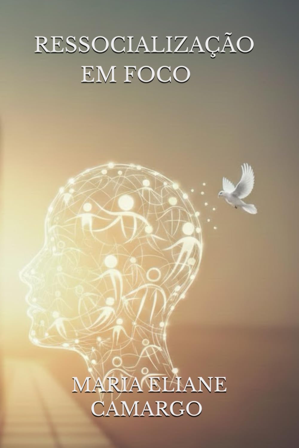 RESSOCIALIZAÇÃO EM FOCO: A Pratica da criminologia através do Diálogo e da Empatia