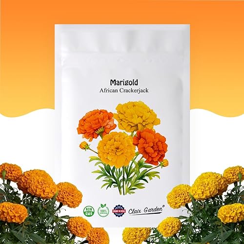 Marigold French Sparky Seeds - 1500 semillas - Hermosas flores vibrantes, reliquia sin OMG - Flores vibrantes y fragantes para cualquier jardĂn Marigold French Sparky Seeds - 1500 semillas - Hermosas flores vibrantes, reliquia sin OMG - Flores vibrantes y fragantes para cualquier jardĂn