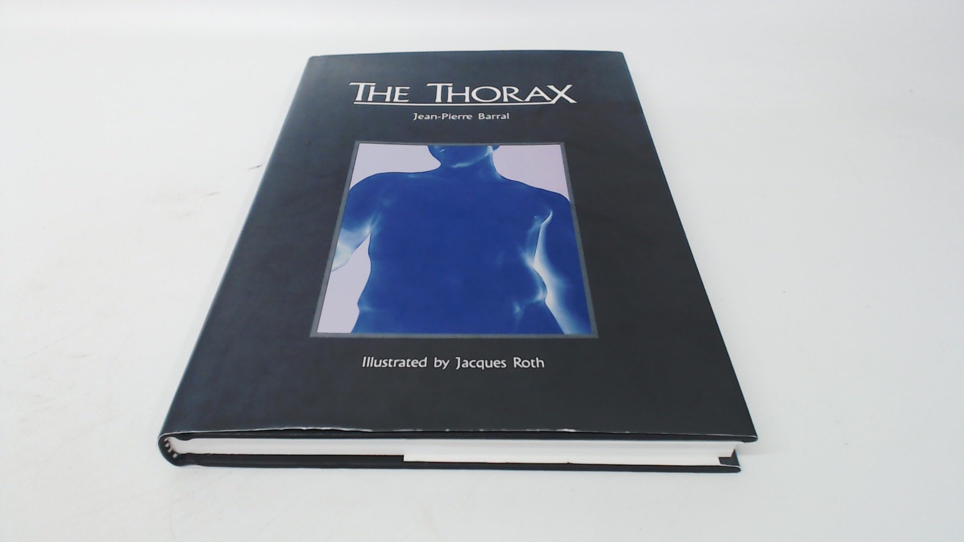 The Thorax