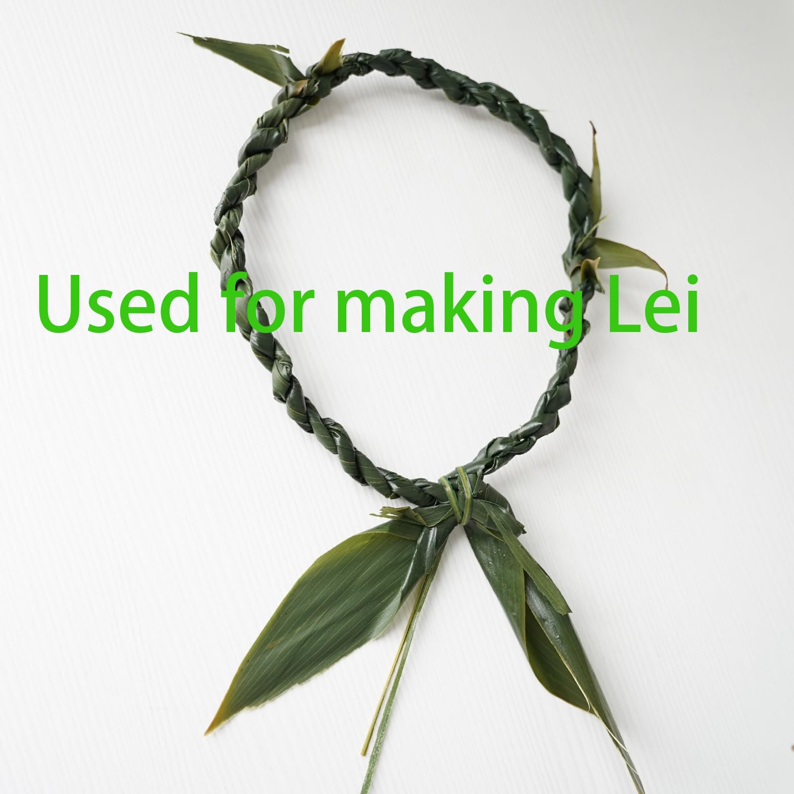 Rainlily Wen Hojas de bambú, 50 unidades, sustitutos de hoja de plátano de bambú, sustitutos de hoja de ti, sustitutos para cocinar sushi al vacío, envoltura de hojas de bambú, alimentos, decoración