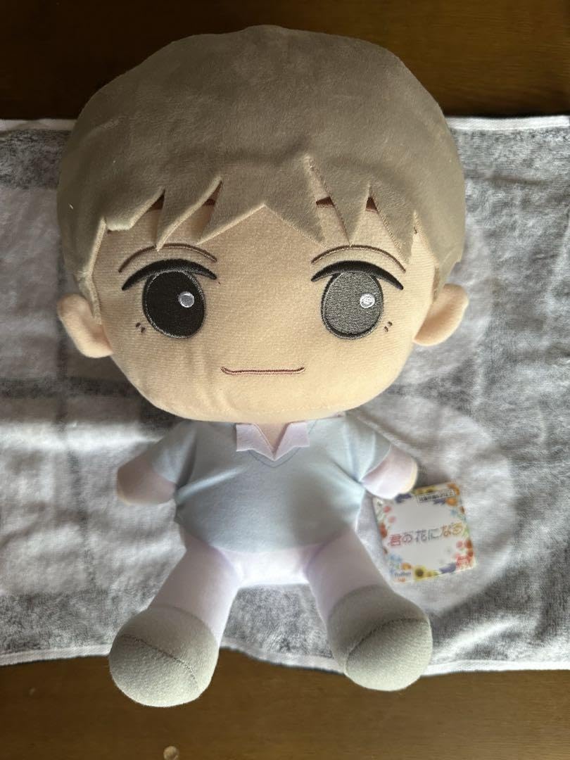 Amazon.co.jp: 宮世琉弥ぬいぐるみ : おもちゃ