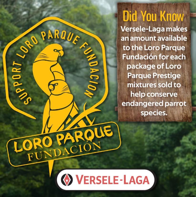 Versele-Laga Prestige Loro Parque African Parrot Mix | 2,5 kg | Aliment complémentaire pour perroquets africains | Mélange de graines enrichi pour Une Condition optimale – Image 6