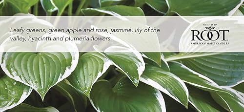 Miniatura 4 de Vela de mezcla de cera de abejas perfumada de panal, Hosta grande