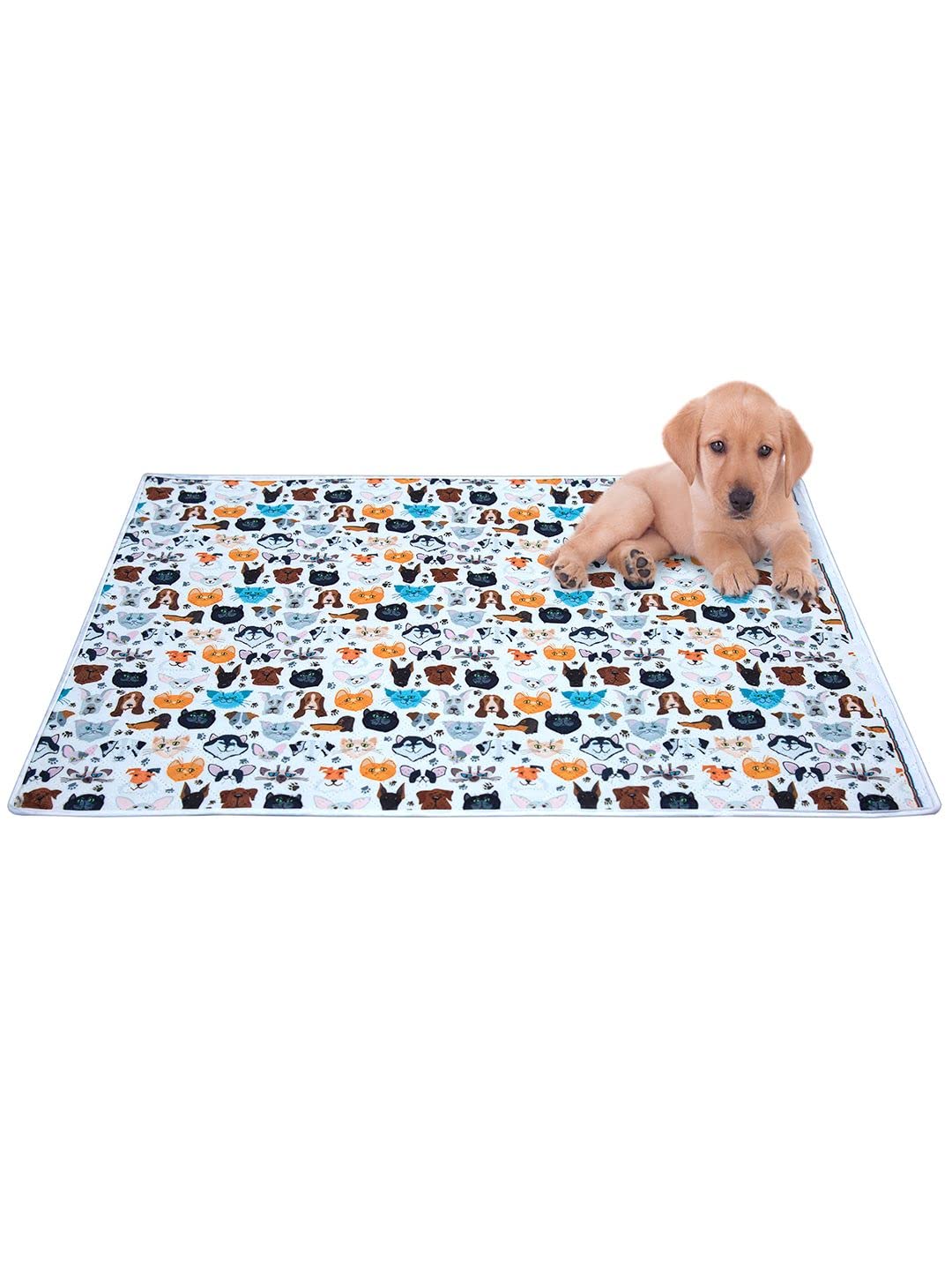 AAZEEM Soft Light Weight Mat for Dogs,Cats & Pets, (Size-M),Multi (B09ZP5X16N) Amazon Price History, Amazon Price Tracker
