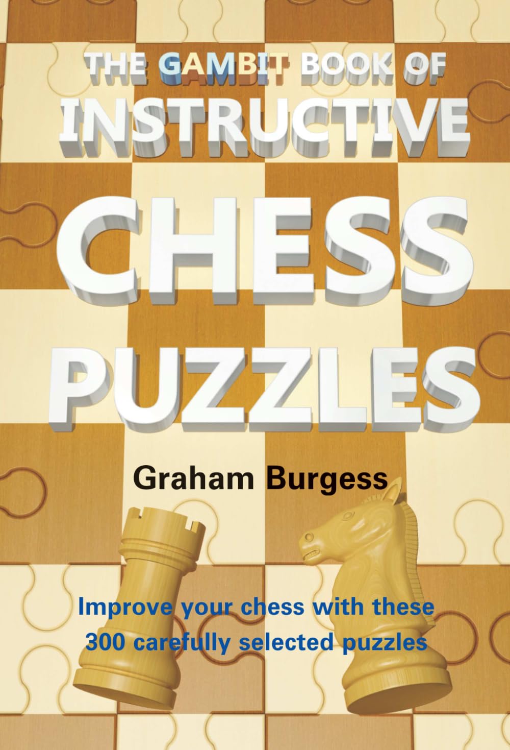 The Gambit Book of Instructive Chess Puzzles