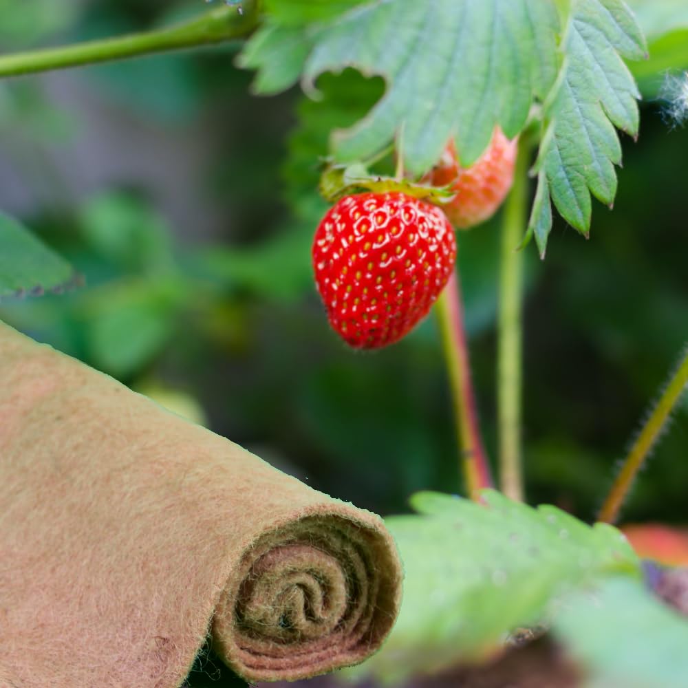 Włóknina truskawkowa ze 100% włókien naturalnych juty, biodegradowalna włóknina jutowa do rabatek truskawkowych (1,5 m x 5 m)