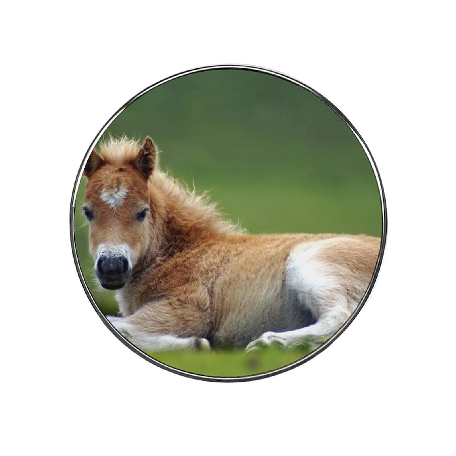 Brown Horse Alloy Fridge Magnet For Office Cabinet Refrigerator Whiteboard Photo