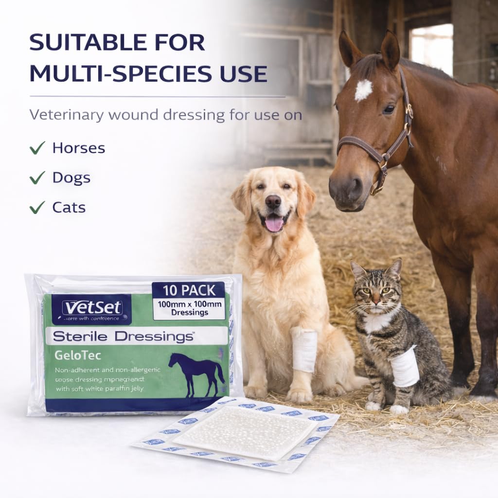 GeloTec - Garza di paraffina per cavalli, cani, gatti e animali, strato di contatto sterile non aderente per ustioni e ferite, 100 mm x 100 mm (confezione da 100)