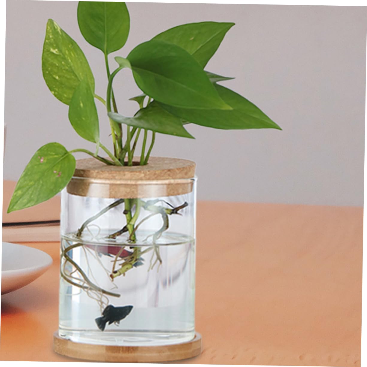 ORFOFE Bouchons en Liège et Matériau Naturel avec Trou Central Lot de 6 Design Polyvalent pour Vase en Verre Hydroponique pour Terrariums et Jardins Miniatures