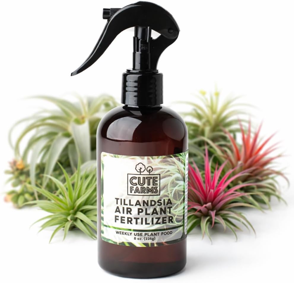 Cute Farms Tillandsia Air Plant Fertilizer | Gentle Weekly Use Formula Plant Food | Formulated Nutrients for Air Plants (8 oz. Spray Bottle)
